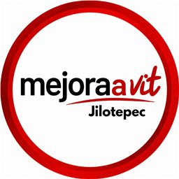 Logo Gestiones AVI